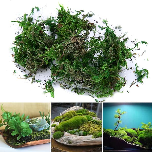 [LCS] Torkad konstgjord mossfoder Dekor Blommor Hängande korgar Trädgårdshantverk