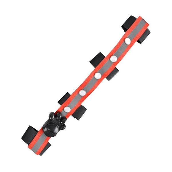 Equestrian Stropper Halter Nattløping Lysende Hestehals Ridin