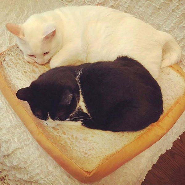 Bröd Katter Säng Toast Bröd Slice Style Pet Mats Kudde Mjuk Varm Madrass Säng För Katter Hundar