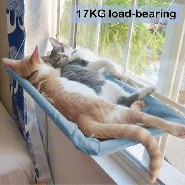 [LCS] Kattfönsterhängmatta Kattsitsbädd med sugkoppar Kattviloplats Solbad