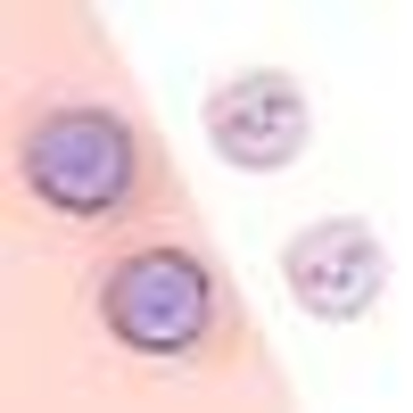 Geekshare jellyfish violet Nintendo Switch-skal, NS skyddande fulltäckande delat TPU mjukt fodral för Nintendo Switch-tillbehör Joystick cap 2
