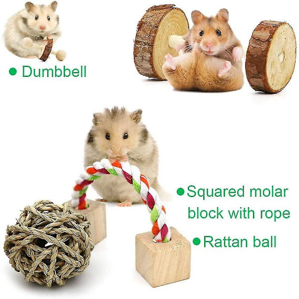 Hamsterin purulelut 10 kpl, Hamsterin liikuntapyörä hampaiden hoito M