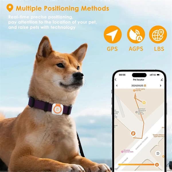 Mini kæledyrs GPS-tracker med sundhedsmonitor 4G SIM-kort Anti-tab tracker Realtidspositionering Kæledyr gør