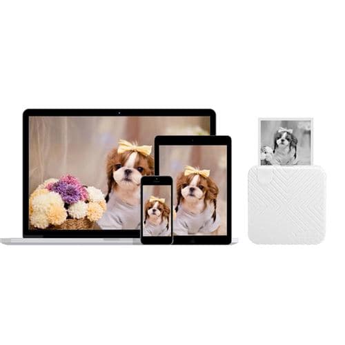 [LCS]Mini bærbar termisk printer 203DPI Foto ABS PC 58mm Blueto