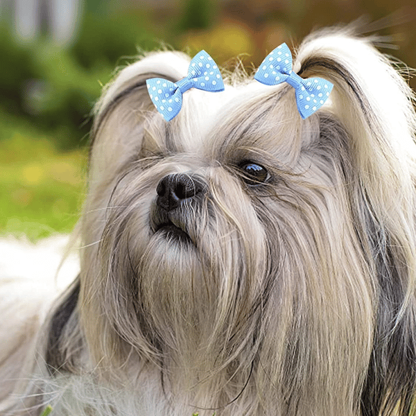 [LCS]Søde små hundehårbånd Topknude Lille sløjfe med gummi