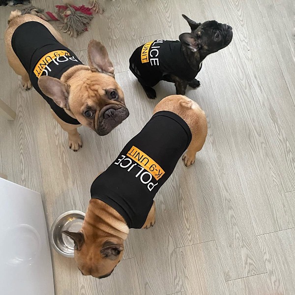 Hund T-shirt Husdjur Polis Hund Katt Kläder Sommarkostymer Valpskjorta, Andningsbara Kläder Väst Kläder för Extra Liten Medium Hund Pojke och Flicka