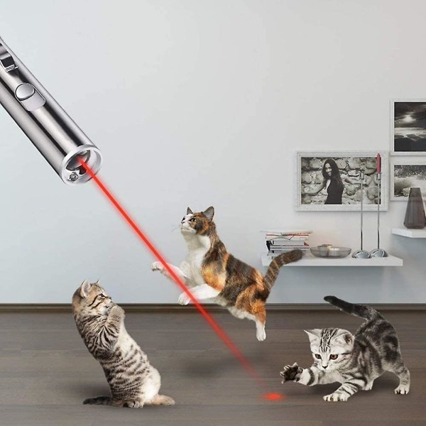 Katt Hund Valp Leksak Led Poiniter ljus för husdjur som leker med USB -kabel