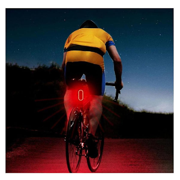 Cykel Baglygte Cykel Bag LED Lys Bremse Sensing USB Rec