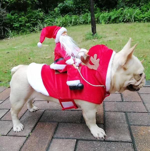 [LCS] Hund Julemand Ridende Julekostume S
