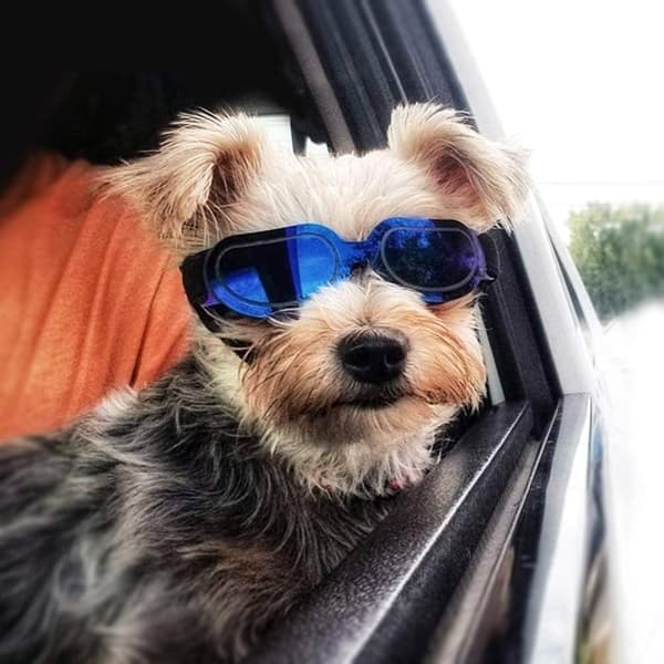 [LCS] Hundebriller Små hunde solbriller UV-beskyttelse Store kattebriller