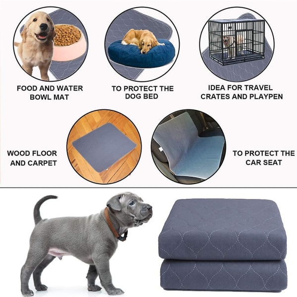 Tvättbara hundkisspads+fria groominghandskar 36"x41"(2pack)