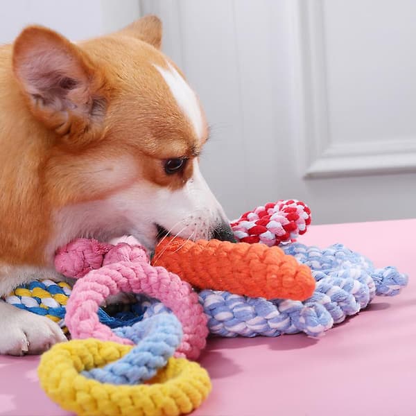 Husdjur Hundar Tuggleksaker Kompatibel med Hund Utomhus Tandrengöring E