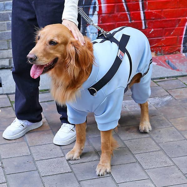 [LCS] Hundkläder Husdjur Hundjacka Kappa Kläder 6XL