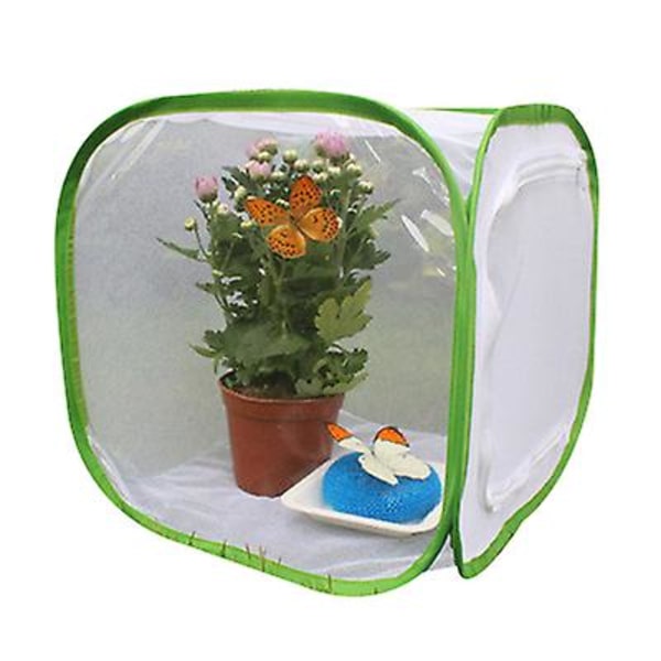 Foldbart insektbur, tre størrelser 30*30*30cm