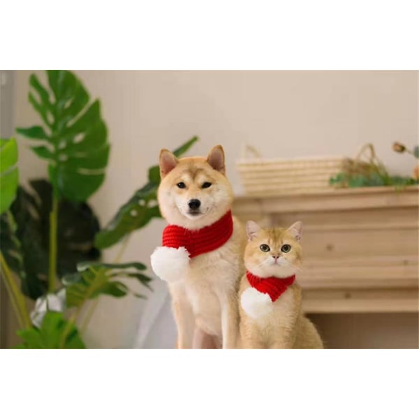 Julekostymer til kjæledyr, katt og hund, juleskjerf S