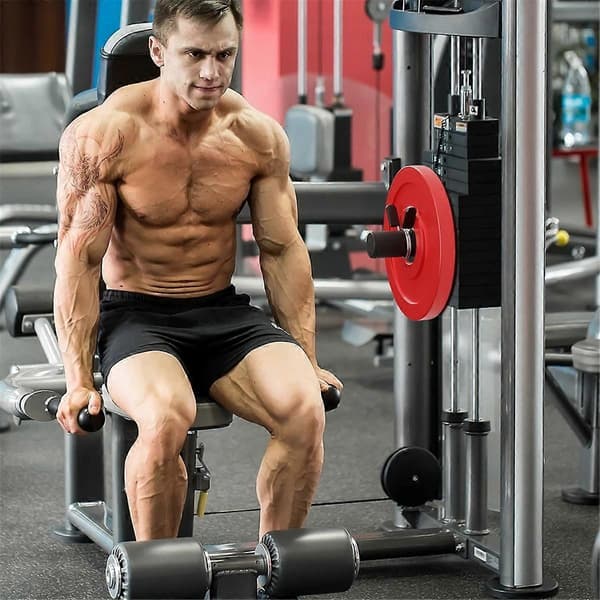 [LCS] Barbell, training bar with spring clip, barbells for barbell machine, strength training
