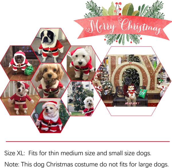 Julekostume til hunde, julemandskostume med kappe