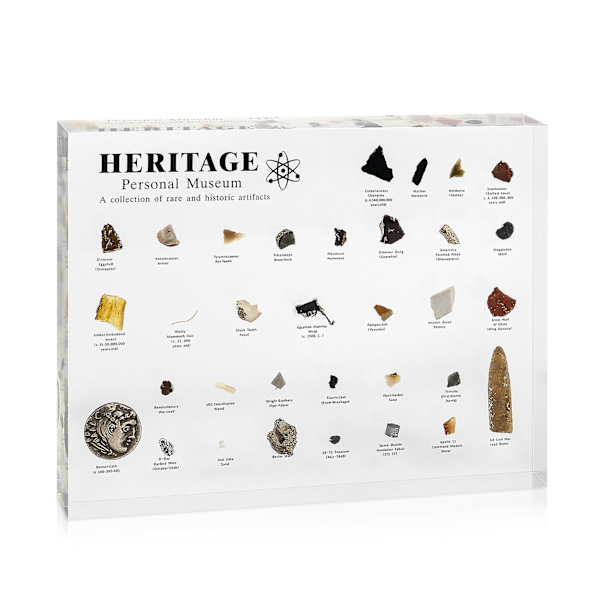 Heritage Personligt Museum Mini Resin Naturhistorisk Museum Udstilling Med Ægte Prøve Fra Forhistorisk Tid