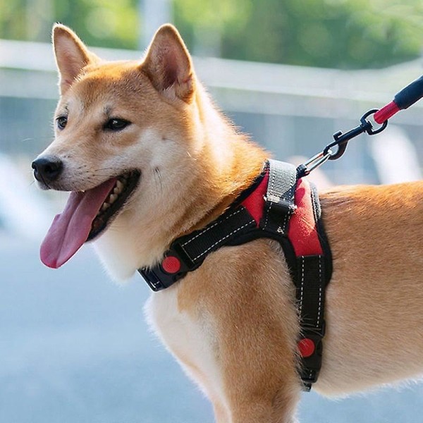 Hundkoppel med bröstsele, drag, explosionssäker Red S