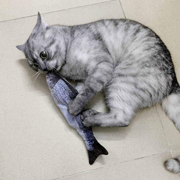 Elektronisk husdjursleksak för katt, elektrisk USB-laddning, simuleringsfiskleksaker för hund katt tugga leka bita tillbehör dropshipping Silver Dragon Fish