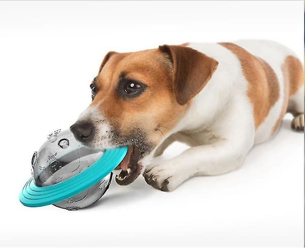 [LCS]Frisbee Multifunktionella Tuggleksaker för Hundar, Utbildningsleksaker Blue