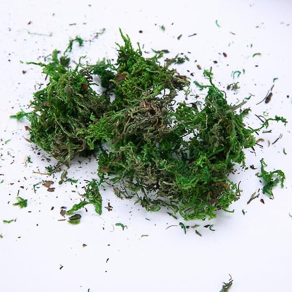 [LCS] Torkad konstgjord mossfoder Dekor Blommor Hängande korgar Trädgårdshantverk