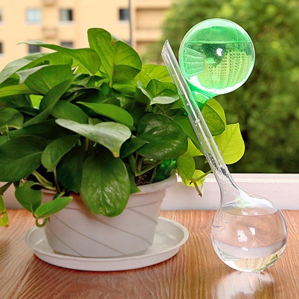 Förpackning med 4 Växter för Inomhusbruk PVC Vattningsglober Spikar Aqua Stakes Automatiskt Självvattningssystem Dia. 8cm, Höjd 26cm