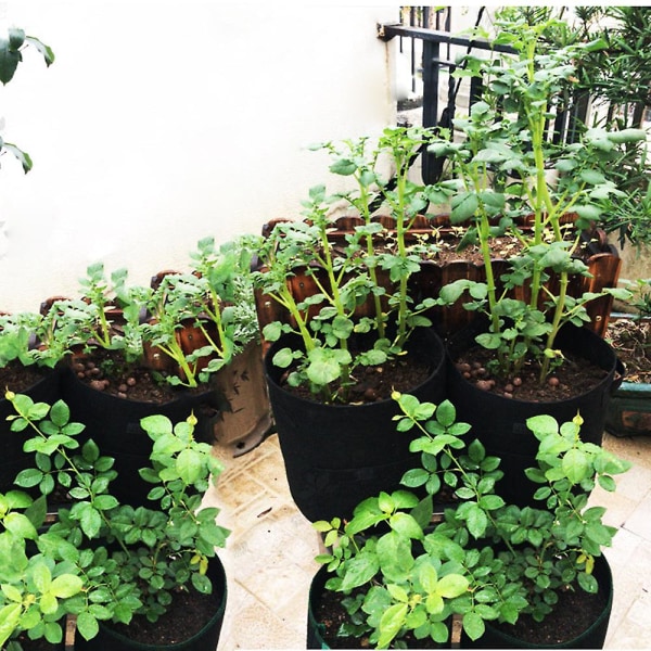 Grönsaksplanteringspåsar, 3 medelstora trädgårdsplantor som andas Black 30x35cm