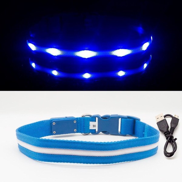 Ipx7 anti-lost vattentätt led-hundhalsband USB laddningshalsband Blue M neck 35-50cm