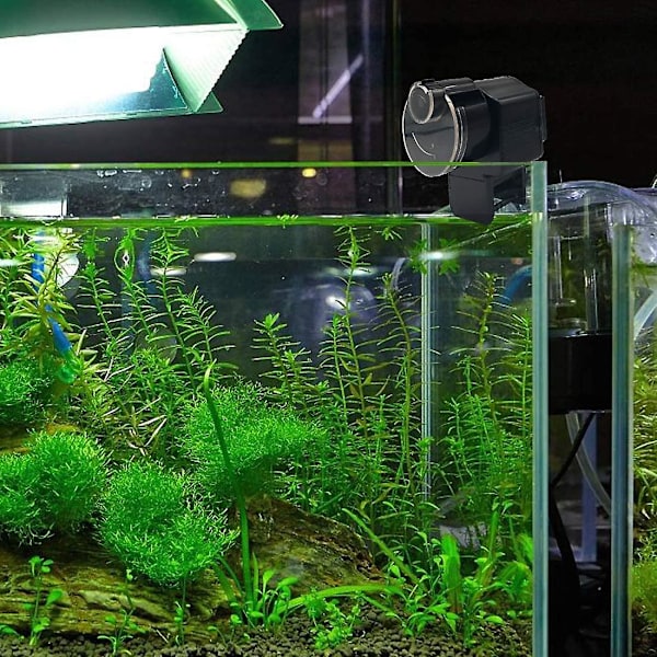 Automatisk fiskefoderautomat til akvarium med automatisk timer