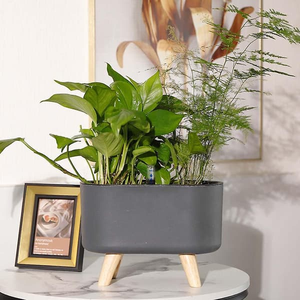 [LCS]27.5cm Självvattnande plastkruka med vattennivåindikator