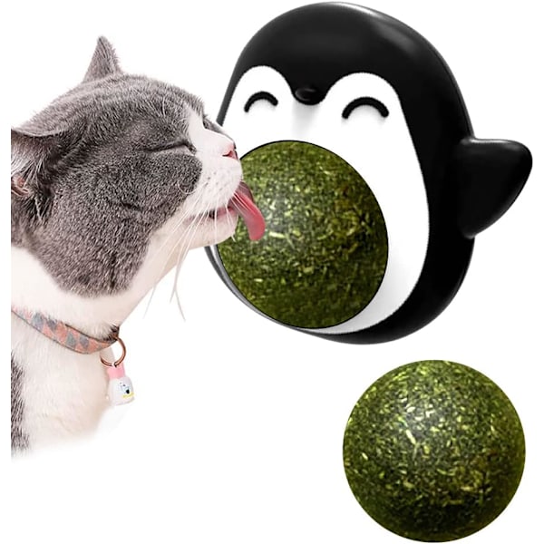 Kattmynta Boll Kattleksak Kattmynta Boll Inomhusleksaker för Lek med Katter