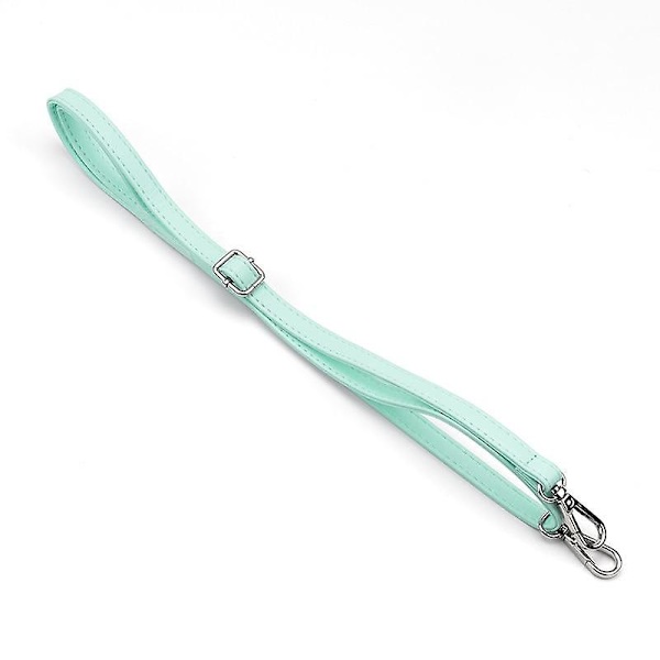 Söt kattklo förvaringsväska för Nintendo Switch, bärbar förvaringsväska hårt skal för Nintend Switch Lite, konsolskydd Green 1 strape