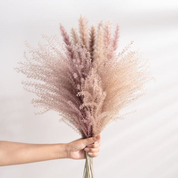 Torkad Blomsterbukett Naturlig Torkad Blomsterbukett Vass Flores Pampas Veteax Setaria För Hemmet A10PCS  B10PCS