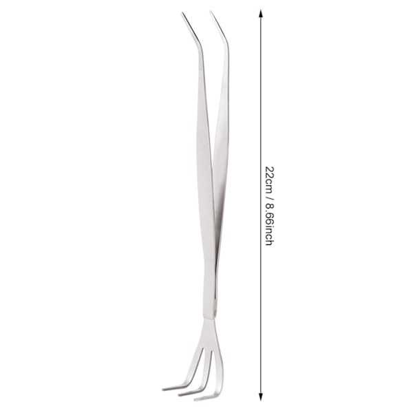 2-in-1 Ruostumattomasta teräksestä valmistettu juuriharava Bonsai-pinsetit Maataloustyökalu ergonomisella kahvalla 0.1