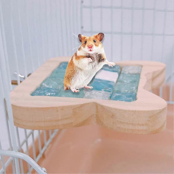 Liten husdjursträpedal Hamster Kristallsten Kylmatta Padbräda Burprydnad Träfärg