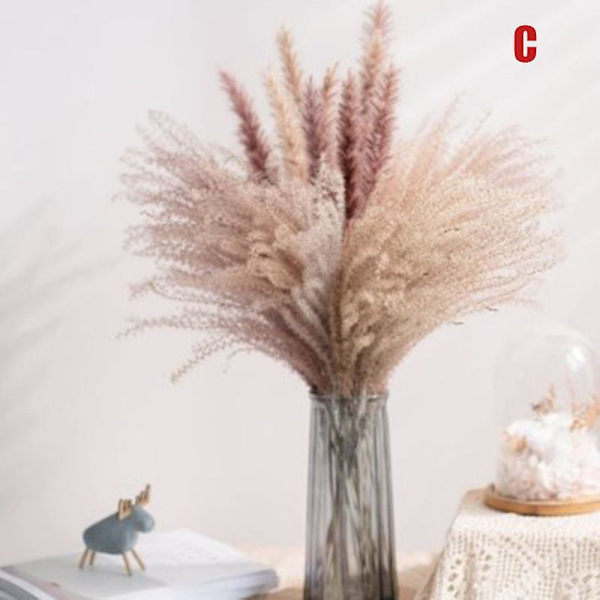 Torkad Blomsterbukett Naturlig Torkad Blomsterbukett Vass Flores Pampas Veteax Setaria För Hemmet C