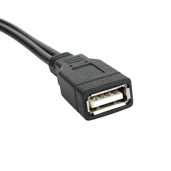 USB 2.0 Hunn Til 2 Dobbel USB Hann Strømadapter Y Splitter Kabel Ledning Kobling