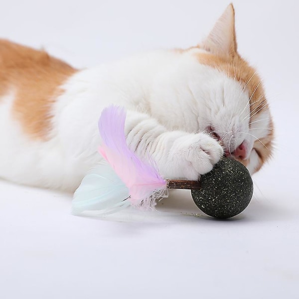 Kattmynta Boll Hälsosamma Kattsnacks Kattmynta Sockergodis Leksaker