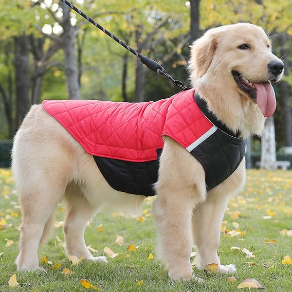 Varm pullover hundejakke alsidig stilfuld komfort hundetøj til daglig brug Gray Blue 2XL
