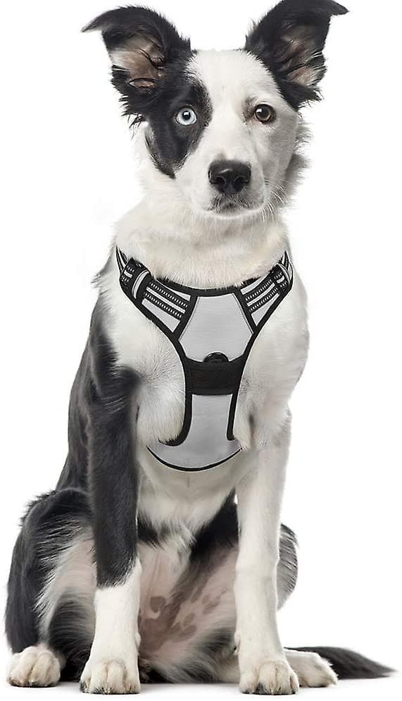 [LCS] Dragfri hundsele med 2 koppelklämmor Light gray X-large