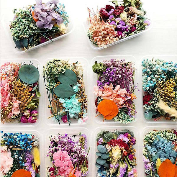 Tørkede Blomster Pakke Blandet Evige Blomster Og Blader For DIY Aromaterapi Lys Gratulasjonskort