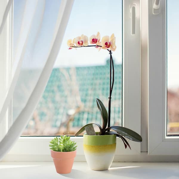 Terrakottakruka Blomkruka för Växt 10st Mini Små Lerkrukor för Suckulenter