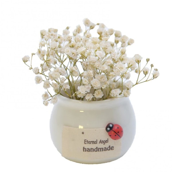 (Vit) Brudslöja Torkad Blomsterbukett Med Porslinsvaser Torkade