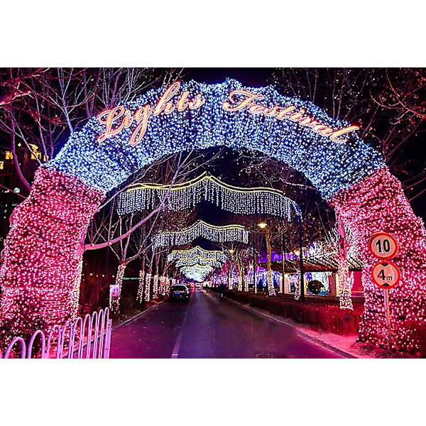 Gypsophila Lyskæder Julelys Bryllupslyskæder Feriedekoration Multicolor 50M-400LED