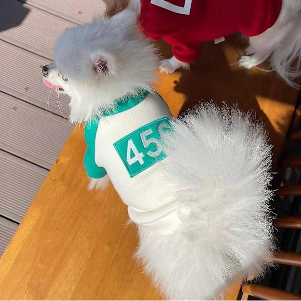 Kæledyr Squid Game Kat Hund Hættetrøje Varmt Kostume Tøj White M