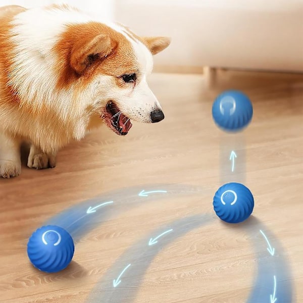 Interaktiv Hundebold, Automatisk Rullende Hoppebold til Hunde, USB Genopladelig Automatisk Rullende Bold Legetøj Interaktivt og Smart (Blå)