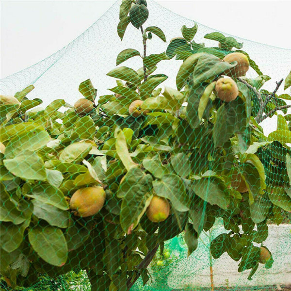 2X10M Garden Mesh Anti Bird Crop Fint Netting Damm Skydd Växt Grönt Frukt Grön 2*10M