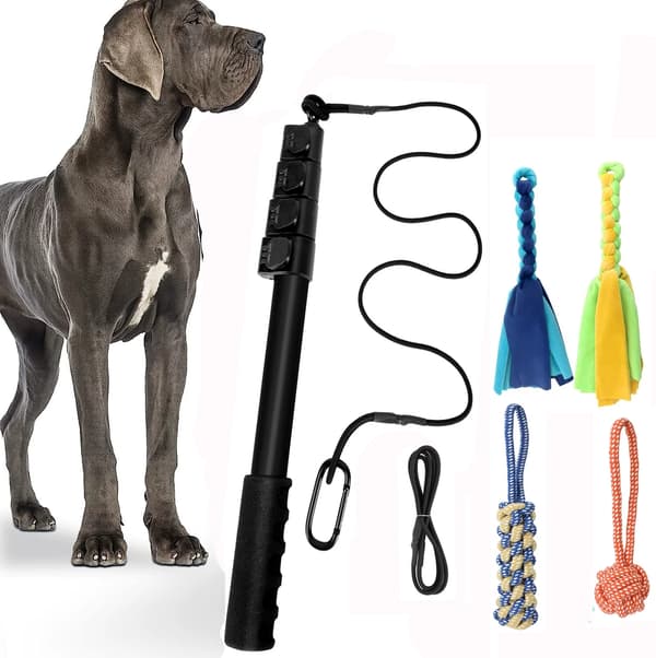 Infällbar hundleksak 124/150cm, interaktiv träningspinne för utomhuslek