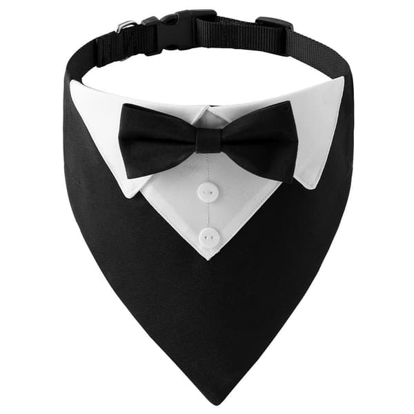 Hundbröllopskostym i brittisk stil med halsband och triangulär bandana, polyester, röd blå svart rosa, S M L M-Black
